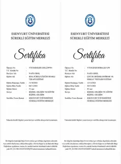 Psk. Nafia Erol profilinde yer alan galeri fotoğrafı.