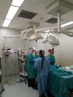 Doç. Dr. Tayfun Kermenli profilinde yer alan galeri fotoğrafı.