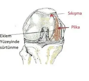 Op. Dr. Übeydullah Sevgili profilinde yer alan galeri fotoğrafı.