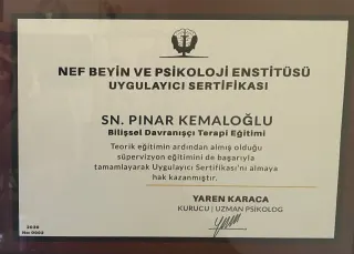 Kl. Psk. Pınar Kemaloğlu profilinde yer alan galeri fotoğrafı.