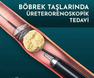 Prof. Dr. Yusuf Kibar profilinde yer alan galeri fotoğrafı.