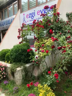 Dyt. Ezgi Evgin profilinde yer alan galeri fotoğrafı.
