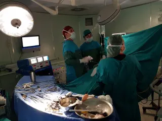 Prof. Dr. Ahmet Nihat Karakoyunlu profilinde yer alan galeri fotoğrafı.