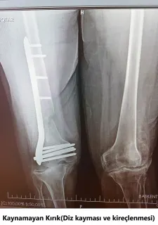 Op. Dr. Javid M. Azarabadı profilinde yer alan galeri fotoğrafı.