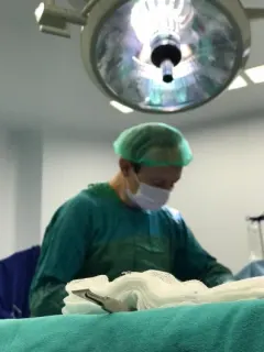 Prof. Dr. Yakup Yıldırım profilinde yer alan galeri fotoğrafı.