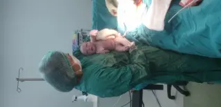 Prof. Dr. Esra Aktepe Keskin profilinde yer alan galeri fotoğrafı.
