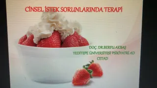 Doç. Dr. Naz Berfu Akbaş profilinde yer alan galeri fotoğrafı.