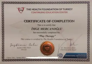 Psk. | Bilim Uzmanı İmge Mercanoğlu Duran profilinde yer alan galeri fotoğrafı.