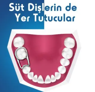 Dt. Tülin Coşkun profilinde yer alan galeri fotoğrafı.