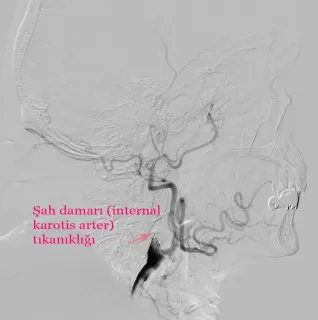 Doç. Dr. Fatih Yakar profilinde yer alan galeri fotoğrafı.