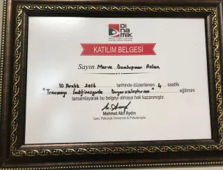 Kl. Psk. Merve D. Aslan profilinde yer alan galeri fotoğrafı.