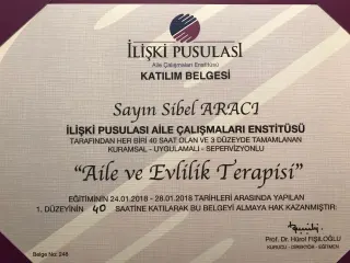Uzm. Dr. Sibel Aracı profilinde yer alan galeri fotoğrafı.