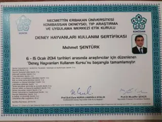 Op. Dr. Mehmet Şentürk profilinde yer alan galeri fotoğrafı.