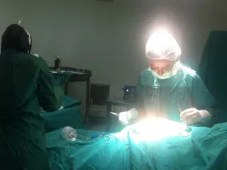 Op. Dr. Gül Apaydın profilinde yer alan galeri fotoğrafı.