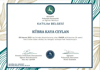 Psk. Kübra Kaya Ceylan profilinde yer alan galeri fotoğrafı.