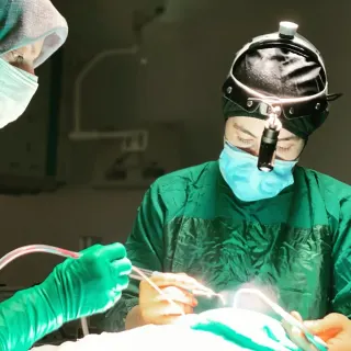 Op. Dr. Sena Genç Elden profilinde yer alan galeri fotoğrafı.