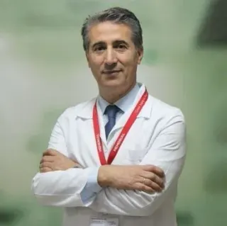 Prof. Dr. Mahmut İlhan profilinde yer alan galeri fotoğrafı.