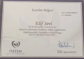 Psk. Elif Sevi Adıgüzel profilinde yer alan galeri fotoğrafı.