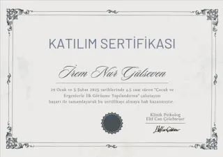 Kl. Psk. İrem Nur Gülseven profilinde yer alan galeri fotoğrafı.