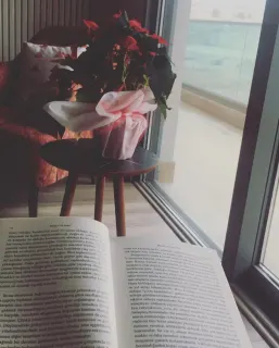 Psk. Mehtap Gönüllü profilinde yer alan galeri fotoğrafı.