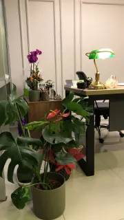 Uzm. Psk. Damla Ekin Barut profilinde yer alan galeri fotoğrafı.
