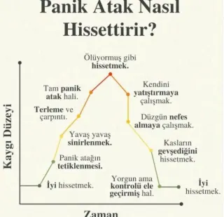 Kl. Psk. Ece Altıparmak profilinde yer alan galeri fotoğrafı.