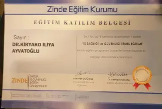 Dr. Öğr. Üyesi Kiryako İliya Ayvatoğlu profilinde yer alan galeri fotoğrafı.