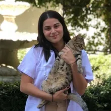 Psk. Selin Tacir — Psikoloji, İstanbul. Portre fotoğrafı.