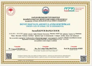 Doç. Dr. İlknur Banlı Cesur profilinde yer alan galeri fotoğrafı.