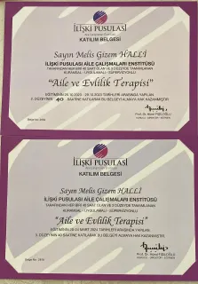 Kl. Psk. Melis Gizem Halli profilinde yer alan galeri fotoğrafı.