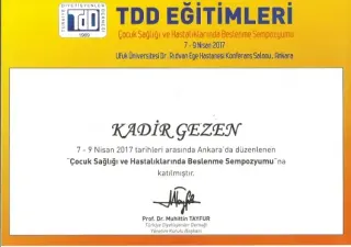 Dyt. Kadir Gezen profilinde yer alan galeri fotoğrafı.