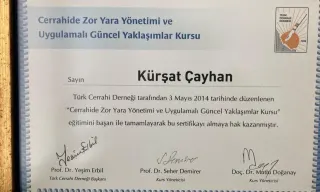 Op. Dr. Veli Kürşat Çayhan profilinde yer alan galeri fotoğrafı.