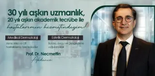 Prof. Dr. Necmettin Akdeniz profilinde yer alan galeri fotoğrafı.