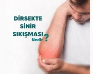 Prof. Dr. Serdar Akalın profilinde yer alan galeri fotoğrafı.