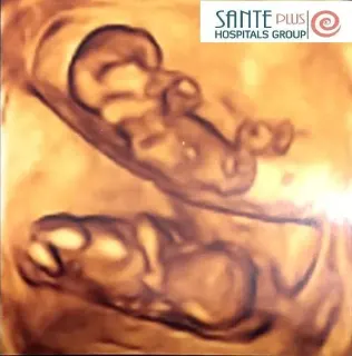 Prof. Dr. Figen Kır profilinde yer alan galeri fotoğrafı.