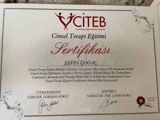 Psk. Şevin Çoğaç profilinde yer alan galeri fotoğrafı.