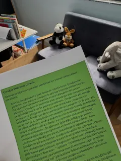 Dkt. Merve Kurt profilinde yer alan galeri fotoğrafı.