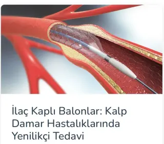 Assoc. Prof. Dr. Musa Çakıcı profilinde yer alan galeri fotoğrafı.