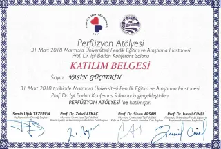 Op. Dr. M. Yasin Güctekin profilinde yer alan galeri fotoğrafı.