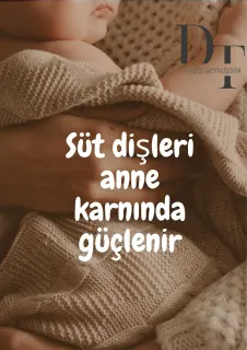 Dt. Tuğçe Yetmişbir Yücel profilinde yer alan galeri fotoğrafı.