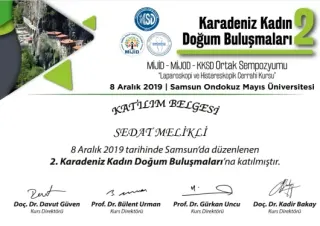 Op. Dr. Sedat Melikli profilinde yer alan galeri fotoğrafı.