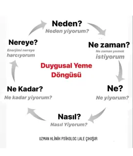 Kl. Psk. Lale Çıkışır profilinde yer alan galeri fotoğrafı.
