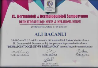 Uzm. Dr. Ali Bacanlı profilinde yer alan galeri fotoğrafı.
