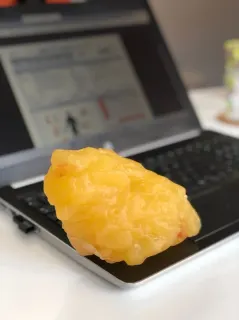 Dyt. Kader Ardıç profilinde yer alan galeri fotoğrafı.