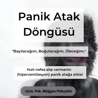 Kl. Psk. Müjgan Pekçetin profilinde yer alan galeri fotoğrafı.