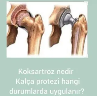 Prof. Dr. Ümit Tuhanioğlu profilinde yer alan galeri fotoğrafı.