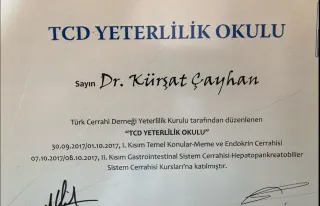 Op. Dr. Veli Kürşat Çayhan profilinde yer alan galeri fotoğrafı.