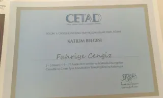 Psk. Fahriye Cengiz profilinde yer alan galeri fotoğrafı.