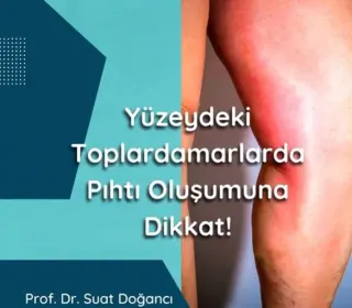 Prof. Dr. Suat Doğancı profilinde yer alan galeri fotoğrafı.