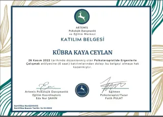 Psk. Kübra Kaya Ceylan profilinde yer alan galeri fotoğrafı.